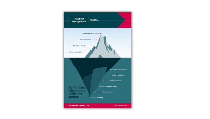 Travel risk management ebook cover. 
