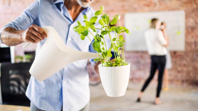 The rise of the sustainable hotel