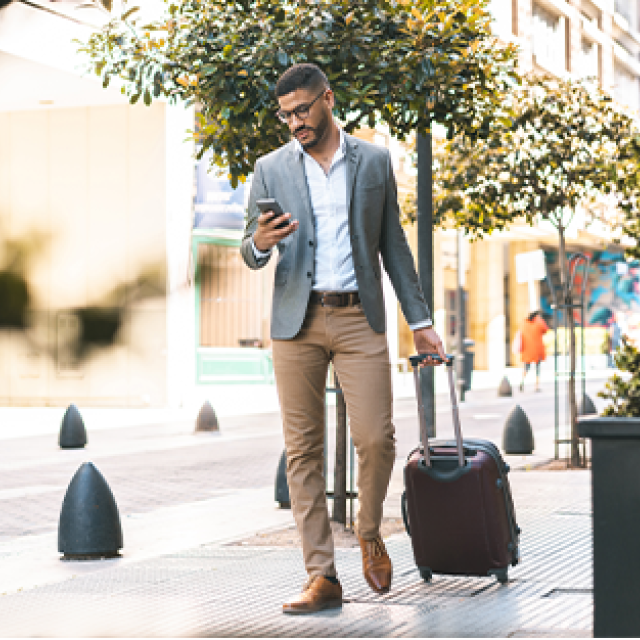 Travel management software